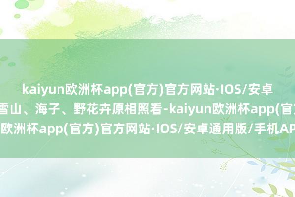 kaiyun欧洲杯app(官方)官方网站·IOS/安卓通用版/手机APP下载与雪山、海子、野花卉原相照看-kaiyun欧洲杯app(官方)官方网站·IOS/安卓通用版/手机APP下载