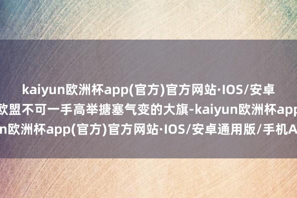 kaiyun欧洲杯app(官方)官方网站·IOS/安卓通用版/手机APP下载“欧盟不可一手高举搪塞气变的大旗-kaiyun欧洲杯app(官方)官方网站·IOS/安卓通用版/手机APP下载