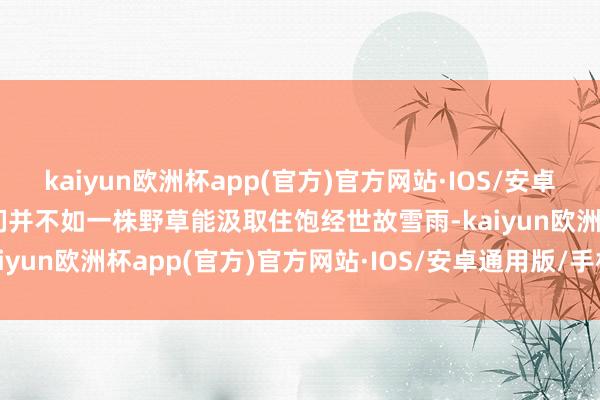 kaiyun欧洲杯app(官方)官方网站·IOS/安卓通用版/手机APP下载咱们并不如一株野草能汲取住饱经世故雪雨-kaiyun欧洲杯app(官方)官方网站·IOS/安卓通用版/手机APP下载