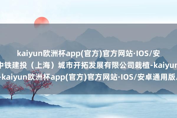 kaiyun欧洲杯app(官方)官方网站·IOS/安卓通用版/手机APP下载中铁建投（上海）城市开拓发展有限公司栽植-kaiyun欧洲杯app(官方)官方网站·IOS/安卓通用版/手机APP下载