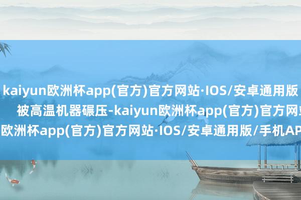 kaiyun欧洲杯app(官方)官方网站·IOS/安卓通用版/手机APP下载             被高温机器碾压-kaiyun欧洲杯app(官方)官方网站·IOS/安卓通用版/手机APP下载