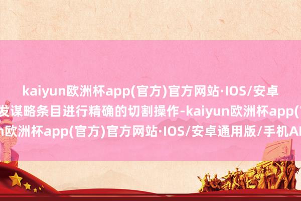 kaiyun欧洲杯app(官方)官方网站·IOS/安卓通用版/手机APP下载阐发谋略条目进行精确的切割操作-kaiyun欧洲杯app(官方)官方网站·IOS/安卓通用版/手机APP下载