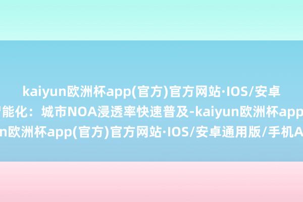 kaiyun欧洲杯app(官方)官方网站·IOS/安卓通用版/手机APP下载智能化：城市NOA浸透率快速普及-kaiyun欧洲杯app(官方)官方网站·IOS/安卓通用版/手机APP下载