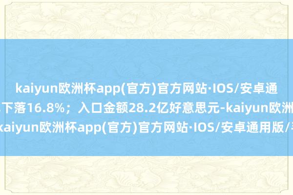 kaiyun欧洲杯app(官方)官方网站·IOS/安卓通用版/手机APP下载同比下落16.8%；入口金额28.2亿好意思元-kaiyun欧洲杯app(官方)官方网站·IOS/安卓通用版/手机APP下载