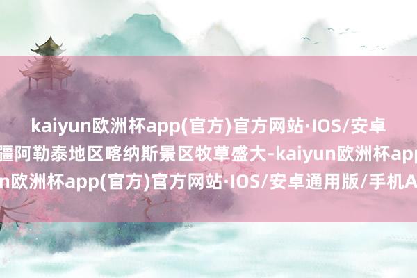 kaiyun欧洲杯app(官方)官方网站·IOS/安卓通用版/手机APP下载新疆阿勒泰地区喀纳斯景区牧草盛大-kaiyun欧洲杯app(官方)官方网站·IOS/安卓通用版/手机APP下载