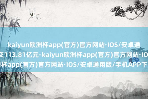 kaiyun欧洲杯app(官方)官方网站·IOS/安卓通用版/手机APP下载成交113.81亿元-kaiyun欧洲杯app(官方)官方网站·IOS/安卓通用版/手机APP下载