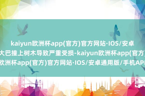 kaiyun欧洲杯app(官方)官方网站·IOS/安卓通用版/手机APP下载该大巴撞上树木导致严重受损-kaiyun欧洲杯app(官方)官方网站·IOS/安卓通用版/手机APP下载