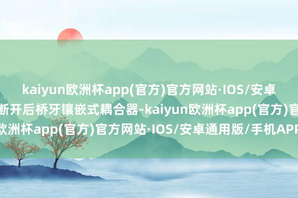 kaiyun欧洲杯app(官方)官方网站·IOS/安卓通用版/手机APP下载再断开后桥牙镶嵌式耦合器-kaiyun欧洲杯app(官方)官方网站·IOS/安卓通用版/手机APP下载