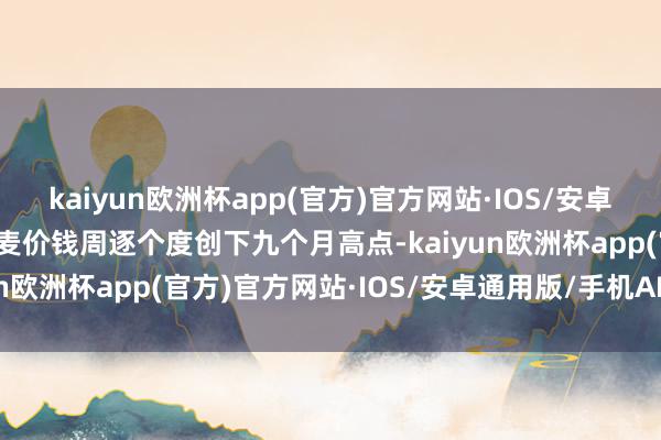 kaiyun欧洲杯app(官方)官方网站·IOS/安卓通用版/手机APP下载小麦价钱周逐个度创下九个月高点-kaiyun欧洲杯app(官方)官方网站·IOS/安卓通用版/手机APP下载