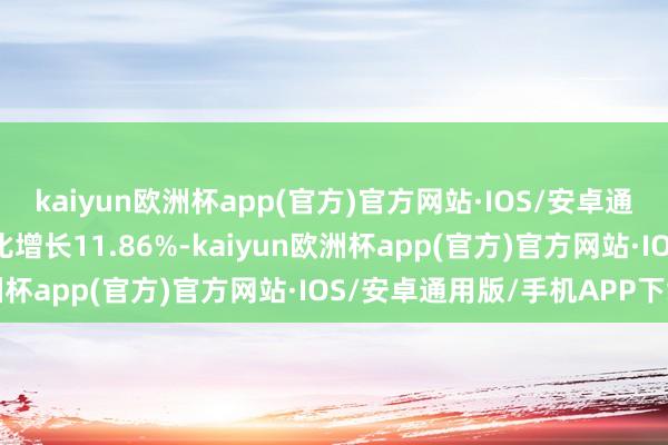 kaiyun欧洲杯app(官方)官方网站·IOS/安卓通用版/手机APP下载同比增长11.86%-kaiyun欧洲杯app(官方)官方网站·IOS/安卓通用版/手机APP下载