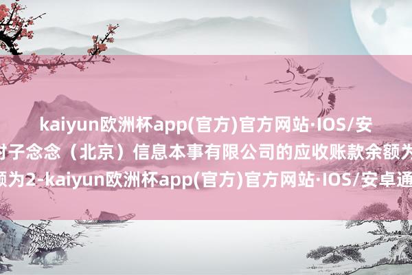 kaiyun欧洲杯app(官方)官方网站·IOS/安卓通用版/手机APP下载对子念念（北京）信息本事有限公司的应收账款余额为2-kaiyun欧洲杯app(官方)官方网站·IOS/安卓通用版/手机APP下载