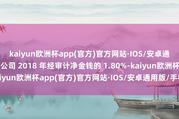 kaiyun欧洲杯app(官方)官方网站·IOS/安卓通用版/手机APP下载占公司 2018 年经审计净金钱的 1.80%-kaiyun欧洲杯app(官方)官方网站·IOS/安卓通用版/手机APP下载