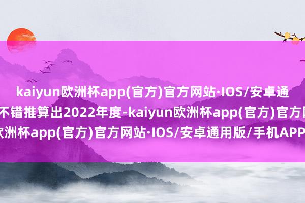 kaiyun欧洲杯app(官方)官方网站·IOS/安卓通用版/手机APP下载咱们不错推算出2022年度-kaiyun欧洲杯app(官方)官方网站·IOS/安卓通用版/手机APP下载