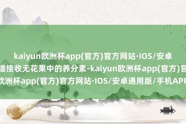 kaiyun欧洲杯app(官方)官方网站·IOS/安卓通用版/手机APP下载不错接收无花果中的养分素-kaiyun欧洲杯app(官方)官方网站·IOS/安卓通用版/手机APP下载