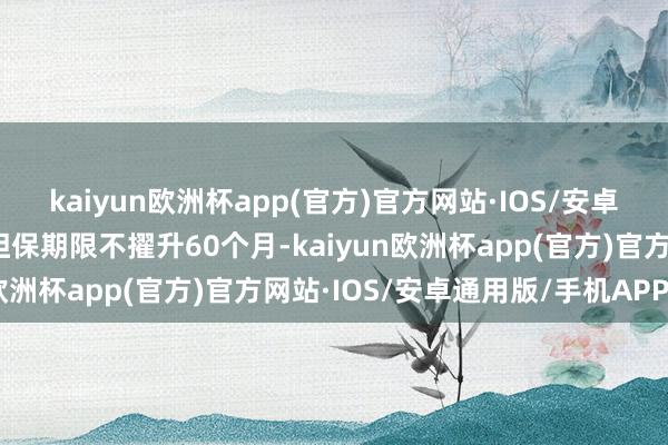 kaiyun欧洲杯app(官方)官方网站·IOS/安卓通用版/手机APP下载担保期限不擢升60个月-kaiyun欧洲杯app(官方)官方网站·IOS/安卓通用版/手机APP下载