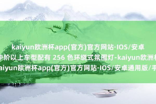 kaiyun欧洲杯app(官方)官方网站·IOS/安卓通用版/手机APP下载中阶以上车型配有 256 色环绕式氛围灯-kaiyun欧洲杯app(官方)官方网站·IOS/安卓通用版/手机APP下载