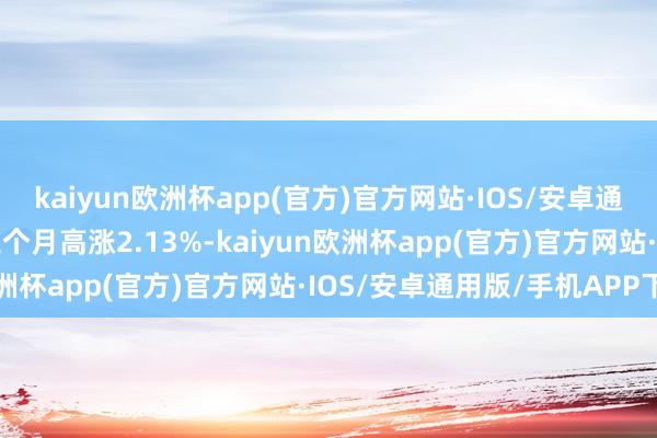 kaiyun欧洲杯app(官方)官方网站·IOS/安卓通用版/手机APP下载近三个月高涨2.13%-kaiyun欧洲杯app(官方)官方网站·IOS/安卓通用版/手机APP下载