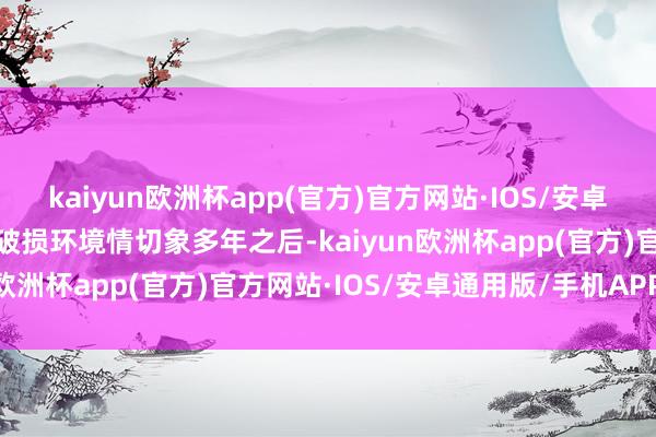 kaiyun欧洲杯app(官方)官方网站·IOS/安卓通用版/手机APP下载在破损环境情切象多年之后-kaiyun欧洲杯app(官方)官方网站·IOS/安卓通用版/手机APP下载