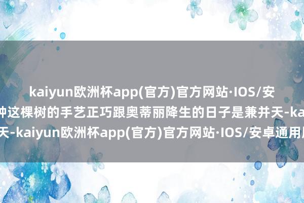 kaiyun欧洲杯app(官方)官方网站·IOS/安卓通用版/手机APP下载种这棵树的手艺正巧跟奥蒂丽降生的日子是兼并天-kaiyun欧洲杯app(官方)官方网站·IOS/安卓通用版/手机APP下载