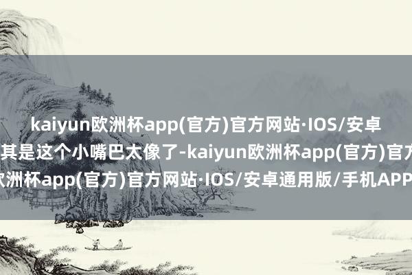 kaiyun欧洲杯app(官方)官方网站·IOS/安卓通用版/手机APP下载尤其是这个小嘴巴太像了-kaiyun欧洲杯app(官方)官方网站·IOS/安卓通用版/手机APP下载