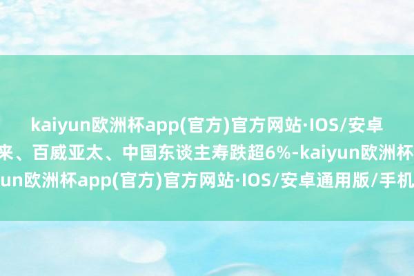 kaiyun欧洲杯app(官方)官方网站·IOS/安卓通用版/手机APP下载蔚来、百威亚太、中国东谈主寿跌超6%-kaiyun欧洲杯app(官方)官方网站·IOS/安卓通用版/手机APP下载