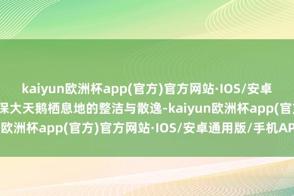 kaiyun欧洲杯app(官方)官方网站·IOS/安卓通用版/手机APP下载确保大天鹅栖息地的整洁与散逸-kaiyun欧洲杯app(官方)官方网站·IOS/安卓通用版/手机APP下载