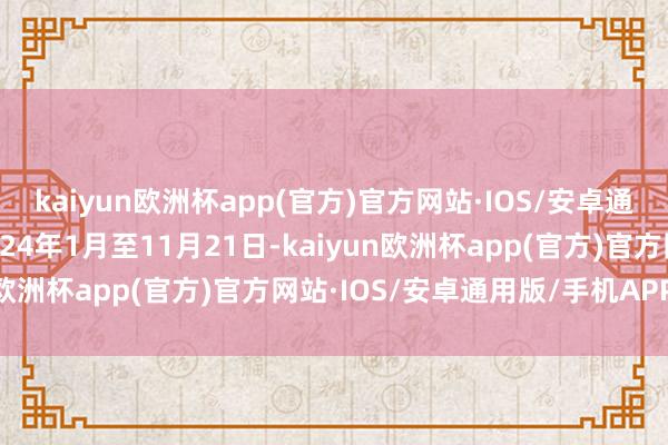 kaiyun欧洲杯app(官方)官方网站·IOS/安卓通用版/手机APP下载2024年1月至11月21日-kaiyun欧洲杯app(官方)官方网站·IOS/安卓通用版/手机APP下载