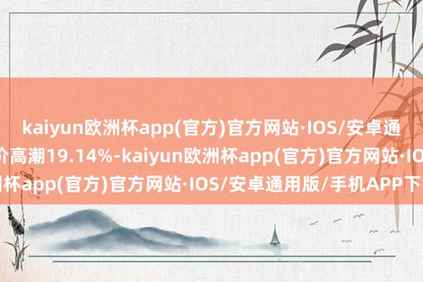 kaiyun欧洲杯app(官方)官方网站·IOS/安卓通用版/手机APP下载股价高潮19.14%-kaiyun欧洲杯app(官方)官方网站·IOS/安卓通用版/手机APP下载