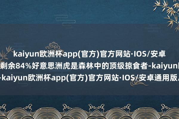 kaiyun欧洲杯app(官方)官方网站·IOS/安卓通用版/手机APP下载伸开剩余84%好意思洲虎是森林中的顶级掠食者-kaiyun欧洲杯app(官方)官方网站·IOS/安卓通用版/手机APP下载