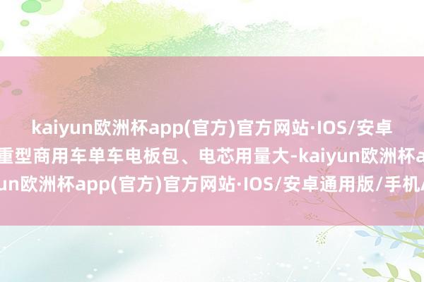 kaiyun欧洲杯app(官方)官方网站·IOS/安卓通用版/手机APP下载但重型商用车单车电板包、电芯用量大-kaiyun欧洲杯app(官方)官方网站·IOS/安卓通用版/手机APP下载