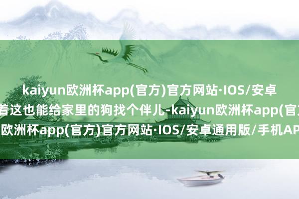 kaiyun欧洲杯app(官方)官方网站·IOS/安卓通用版/手机APP下载思着这也能给家里的狗找个伴儿-kaiyun欧洲杯app(官方)官方网站·IOS/安卓通用版/手机APP下载