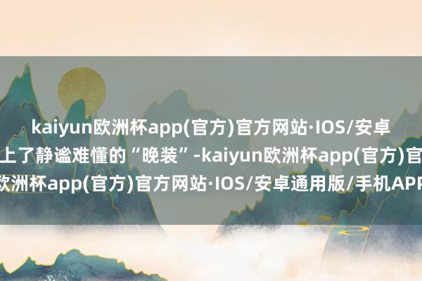 kaiyun欧洲杯app(官方)官方网站·IOS/安卓通用版/手机APP下载换上了静谧难懂的“晚装”-kaiyun欧洲杯app(官方)官方网站·IOS/安卓通用版/手机APP下载