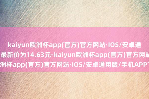 kaiyun欧洲杯app(官方)官方网站·IOS/安卓通用版/手机APP下载正股最新价为14.63元-kaiyun欧洲杯app(官方)官方网站·IOS/安卓通用版/手机APP下载