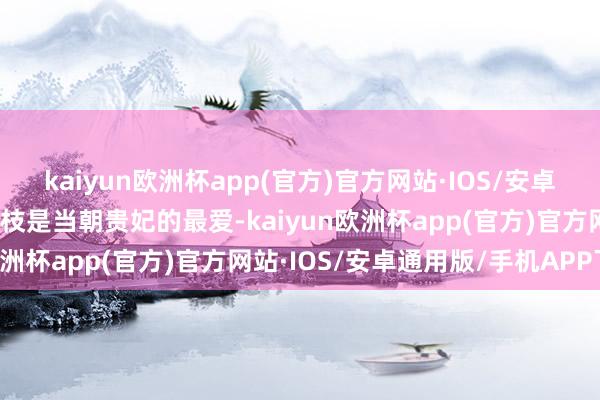 kaiyun欧洲杯app(官方)官方网站·IOS/安卓通用版/手机APP下载荔枝是当朝贵妃的最爱-kaiyun欧洲杯app(官方)官方网站·IOS/安卓通用版/手机APP下载