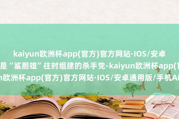 kaiyun欧洲杯app(官方)官方网站·IOS/安卓通用版/手机APP下载就是“鲨胆雄”往时组建的杀手党-kaiyun欧洲杯app(官方)官方网站·IOS/安卓通用版/手机APP下载