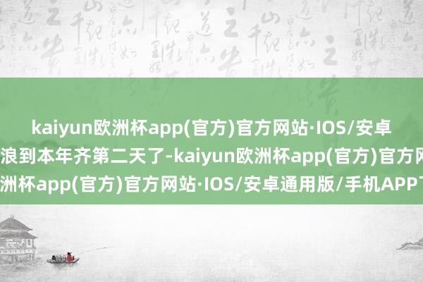 kaiyun欧洲杯app(官方)官方网站·IOS/安卓通用版/手机APP下载放浪到本年齐第二天了-kaiyun欧洲杯app(官方)官方网站·IOS/安卓通用版/手机APP下载