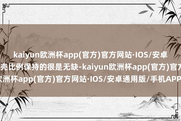 kaiyun欧洲杯app(官方)官方网站·IOS/安卓通用版/手机APP下载躯壳比例保持的很是无缺-kaiyun欧洲杯app(官方)官方网站·IOS/安卓通用版/手机APP下载