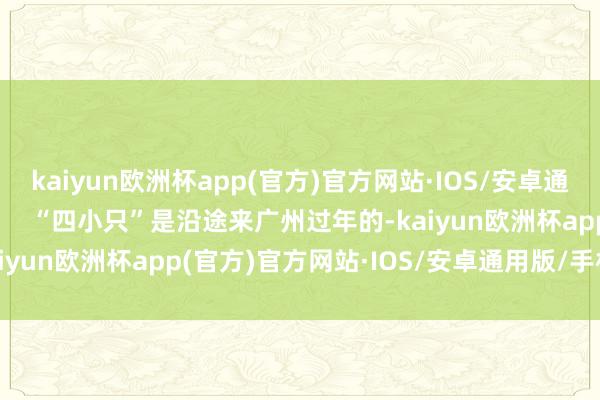 kaiyun欧洲杯app(官方)官方网站·IOS/安卓通用版/手机APP下载       “四小只”是沿途来广州过年的-kaiyun欧洲杯app(官方)官方网站·IOS/安卓通用版/手机APP下载