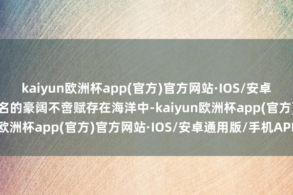 kaiyun欧洲杯app(官方)官方网站·IOS/安卓通用版/手机APP下载茂名的豪阔不啻赋存在海洋中-kaiyun欧洲杯app(官方)官方网站·IOS/安卓通用版/手机APP下载