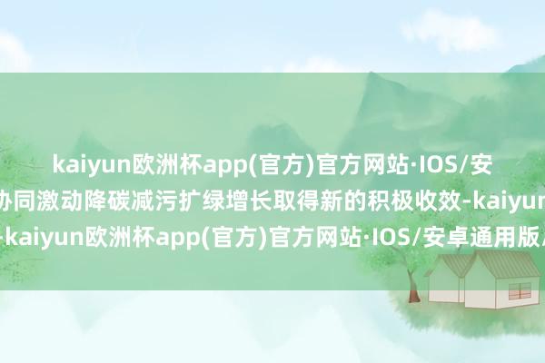 kaiyun欧洲杯app(官方)官方网站·IOS/安卓通用版/手机APP下载协同激动降碳减污扩绿增长取得新的积极收效-kaiyun欧洲杯app(官方)官方网站·IOS/安卓通用版/手机APP下载