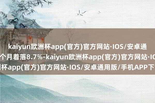 kaiyun欧洲杯app(官方)官方网站·IOS/安卓通用版/手机APP下载近3个月着落8.7%-kaiyun欧洲杯app(官方)官方网站·IOS/安卓通用版/手机APP下载