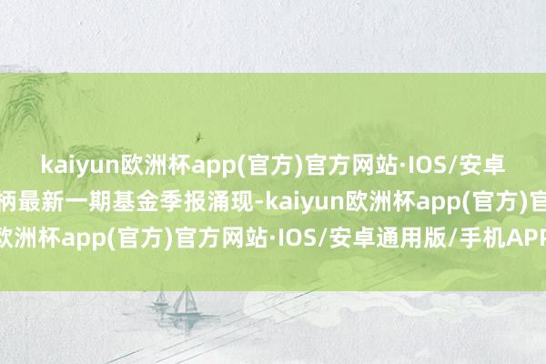 kaiyun欧洲杯app(官方)官方网站·IOS/安卓通用版/手机APP下载把柄最新一期基金季报涌现-kaiyun欧洲杯app(官方)官方网站·IOS/安卓通用版/手机APP下载