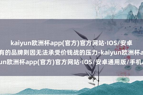 kaiyun欧洲杯app(官方)官方网站·IOS/安卓通用版/手机APP下载而有的品牌则因无法承受价钱战的压力-kaiyun欧洲杯app(官方)官方网站·IOS/安卓通用版/手机APP下载