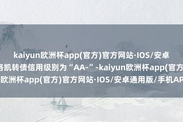 kaiyun欧洲杯app(官方)官方网站·IOS/安卓通用版/手机APP下载洛凯转债信用级别为“AA-”-kaiyun欧洲杯app(官方)官方网站·IOS/安卓通用版/手机APP下载