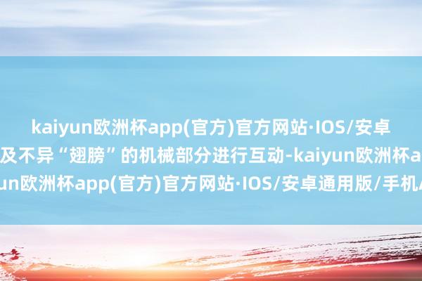 kaiyun欧洲杯app(官方)官方网站·IOS/安卓通用版/手机APP下载以及不异“翅膀”的机械部分进行互动-kaiyun欧洲杯app(官方)官方网站·IOS/安卓通用版/手机APP下载