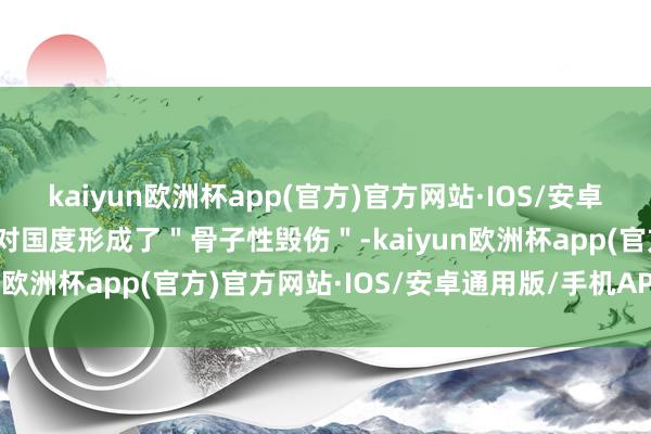 kaiyun欧洲杯app(官方)官方网站·IOS/安卓通用版/手机APP下载且对国度形成了＂骨子性毁伤＂-kaiyun欧洲杯app(官方)官方网站·IOS/安卓通用版/手机APP下载