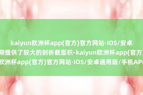 kaiyun欧洲杯app(官方)官方网站·IOS/安卓通用版/手机APP下载同期提供了较大的剖析截面积-kaiyun欧洲杯app(官方)官方网站·IOS/安卓通用版/手机APP下载